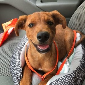 Meet your Posher, Mario